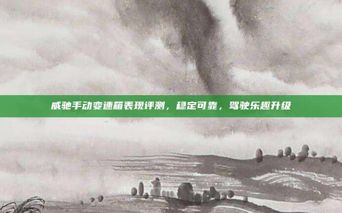 威驰手动变速箱表现评测,稳定可靠,驾驶乐趣升级