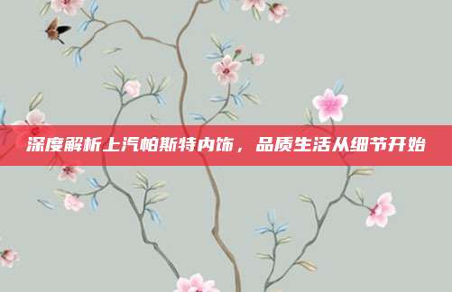 深度解析上汽帕斯特内饰,品质生活从细节开始