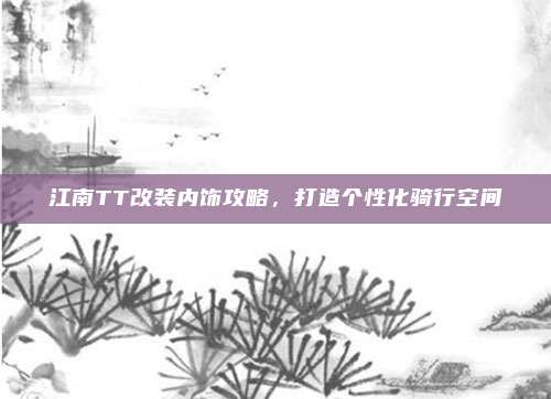 江南TT改装内饰攻略,打造个性化骑行空间