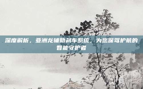 深度解析,亚洲龙辅助刹车系统,为您保驾护航的智能守护者