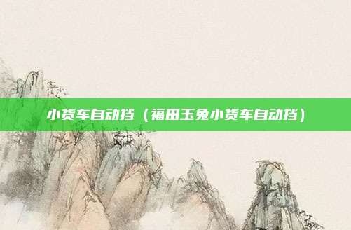 小货车自动挡(福田玉兔小货车自动挡)