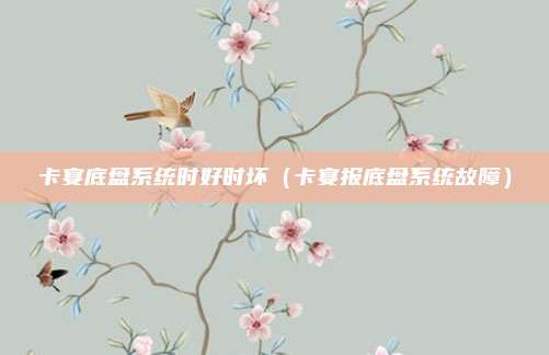 卡宴底盘系统时好时坏（卡宴报底盘系统故障）