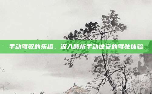 手动驾驭的乐趣,深入解析手动途安的驾驶体验