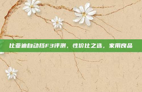 比亚迪自动挡F3评测,性价比之选,家用良品