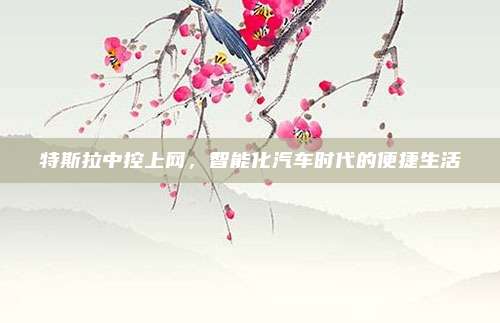 特斯拉中控上网,智能化汽车时代的便捷生活