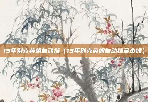 13年别克英朗自动挡（13年别克英朗自动挡多少钱）