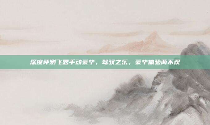 深度评测飞思手动豪华,驾驭之乐,豪华体验两不误