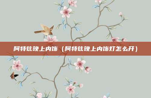 阿特兹晚上内饰（阿特兹晚上内饰灯怎么开）
