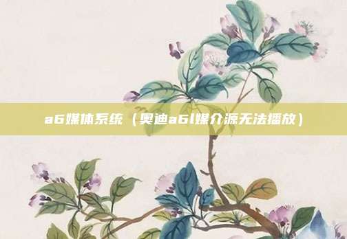 a6媒体系统（奥迪a6l媒介源无法播放）