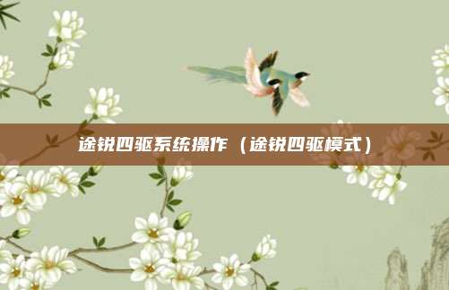 途锐四驱系统操作(途锐四驱模式)