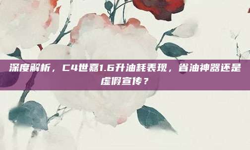 深度解析,C4世嘉1.6升油耗表现,省油神器还是虚假宣传?