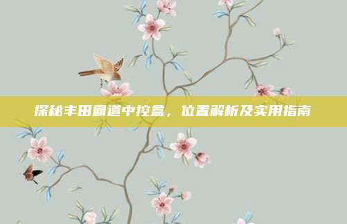 探秘丰田霸道中控盒,位置解析及实用指南