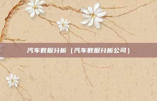 汽车数据分析（汽车数据分析公司）