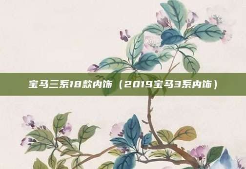 宝马三系18款内饰（2019宝马3系内饰）