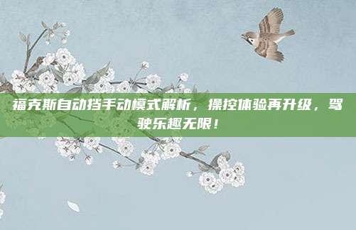 福克斯自动挡手动模式解析，操控体验再升级，驾驶乐趣无限！