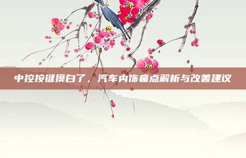 中控按键摸白了,汽车内饰痛点解析与改善建议