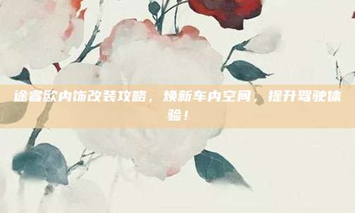 途睿欧内饰改装攻略,焕新车内空间,提升驾驶体验!