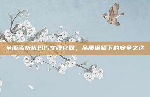 全面解析优玛汽车膜官网,品质保障下的安全之选