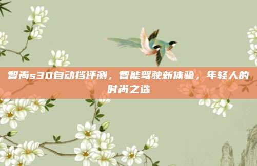 智尚s30自动挡评测,智能驾驶新体验,年轻人的时尚之选