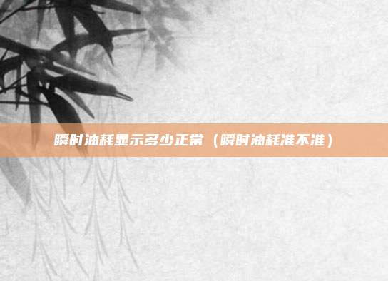 瞬时油耗显示多少正常（瞬时油耗准不准）