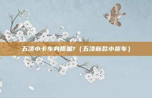 五凌小卡车身质量?(五凌新款小货车)
