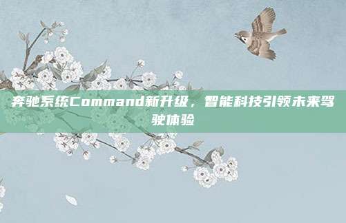 奔驰系统Command新升级,智能科技引领未来驾驶体验