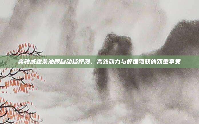 奔驰威霆柴油版自动挡评测,高效动力与舒适驾驭的双重享受