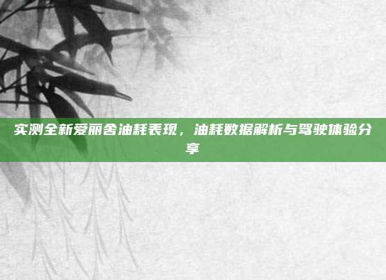 实测全新爱丽舍油耗表现,油耗数据解析与驾驶体验分享