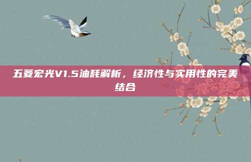 五菱宏光V1.5油耗解析,经济性与实用性的完美结合