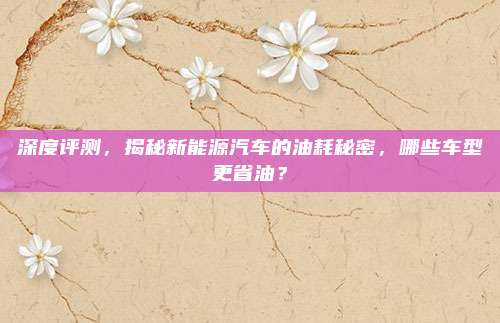 深度评测,揭秘新能源汽车的油耗秘密,哪些车型更省油?