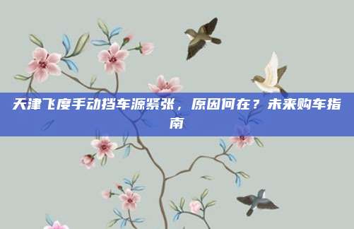 天津飞度手动挡车源紧张，原因何在？未来购车指南