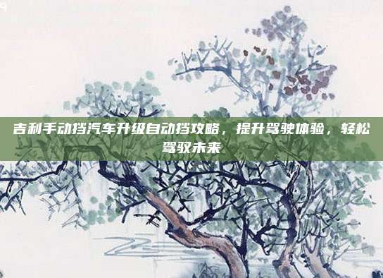 吉利手动挡汽车升级自动挡攻略,提升驾驶体验,轻松驾驭未来