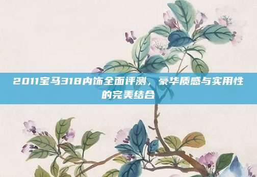 2011宝马318内饰全面评测,豪华质感与实用性的完美结合