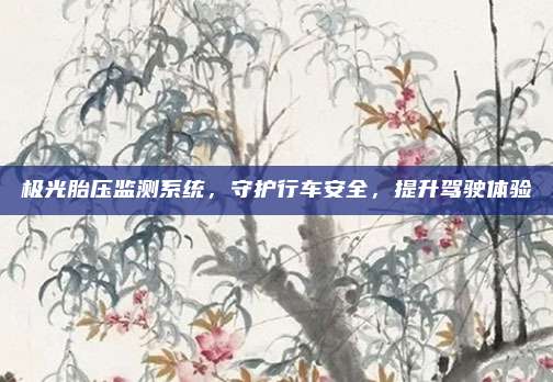 极光胎压监测系统,守护行车安全,提升驾驶体验