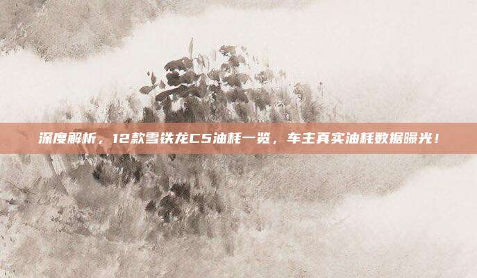 深度解析,12款雪铁龙C5油耗一览,车主真实油耗数据曝光!