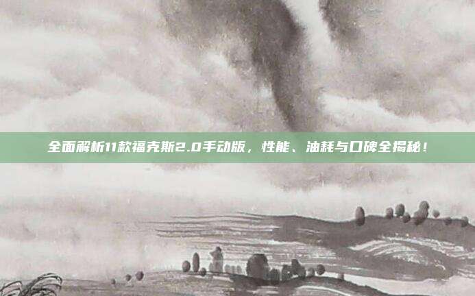 全面解析11款福克斯2.0手动版,性能、油耗与口碑全揭秘!