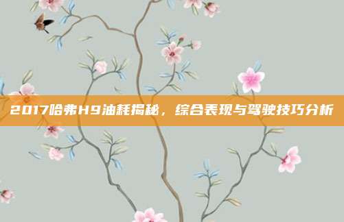 2017哈弗H9油耗揭秘,综合表现与驾驶技巧分析