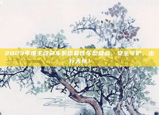 2023年度主动刹车系统最佳车型盘点,安全守护,出行无忧!