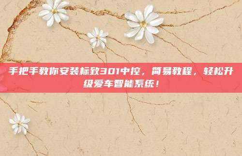 手把手教你安装标致301中控,简易教程,轻松升级爱车智能系统!