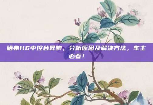 哈弗H6中控台异响,分析原因及解决方法,车主必看!