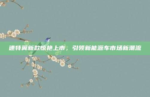 速特翼新款惊艳上市,引领新能源车市场新潮流