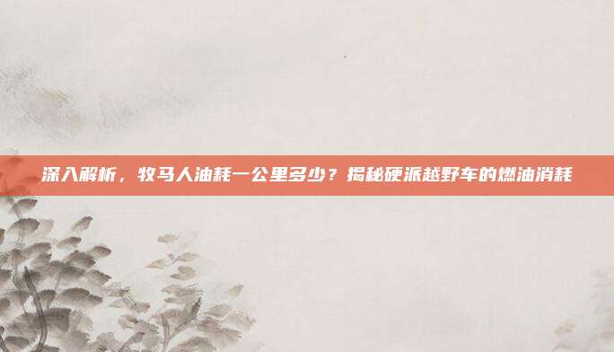 深入解析,牧马人油耗一公里多少?揭秘硬派越野车的燃油消耗