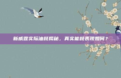 新威霆实际油耗揭秘,真实能耗表现如何?