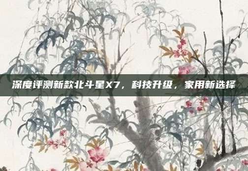 深度评测新款北斗星X7,科技升级,家用新选择
