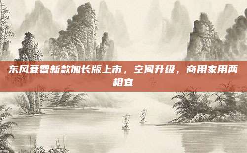 东风菱智新款加长版上市，空间升级，商用家用两相宜