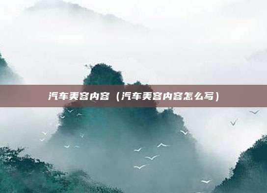 汽车美容内容（汽车美容内容怎么写）