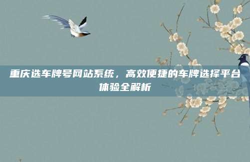 重庆选车牌号网站系统,高效便捷的车牌选择平台体验全解析