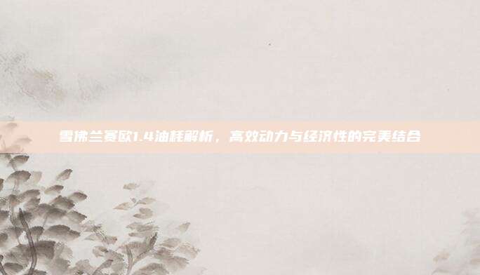 雪佛兰赛欧1.4油耗解析,高效动力与经济性的完美结合