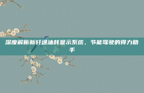 深度解析新轩逸油耗显示系统,节能驾驶的得力助手