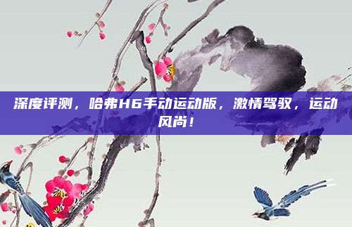 深度评测,哈弗H6手动运动版,激情驾驭,运动风尚!